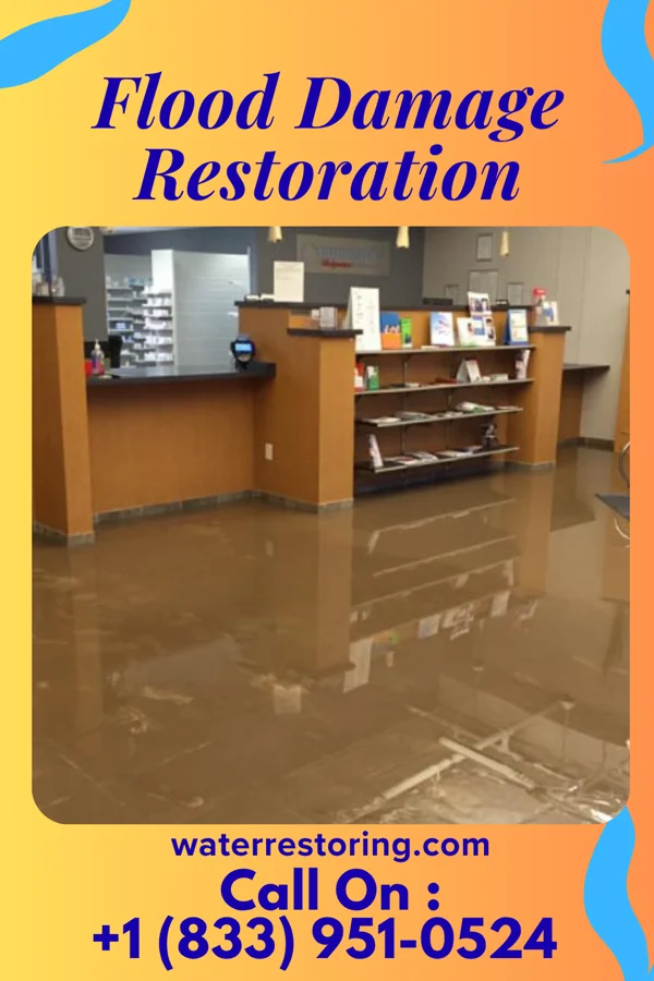 Flood Damage Restoration in North Grosvenor Dale, CT