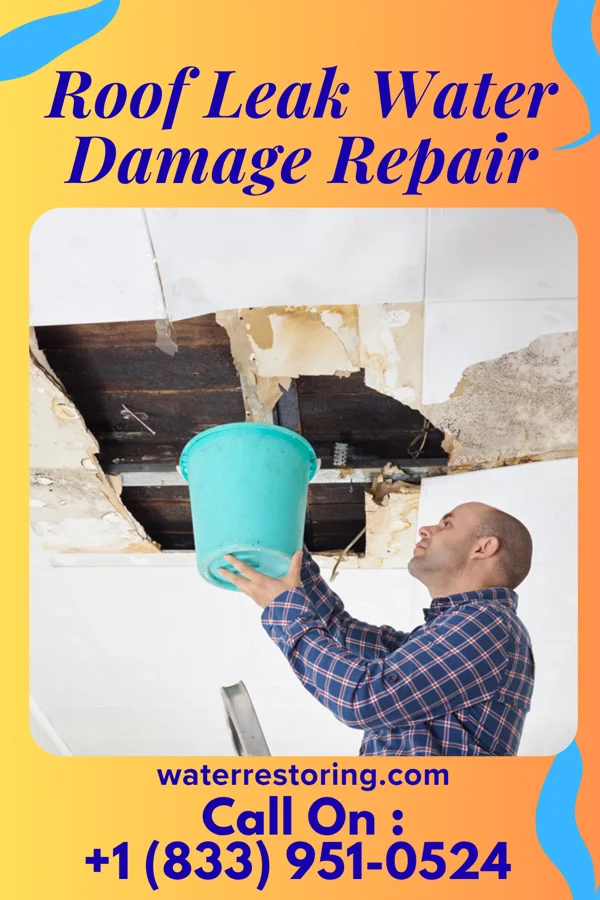 Roof Leak Water Damage Repair in North Grosvenor Dale, CT